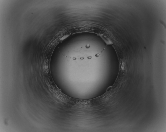 X0000101980771200807181124