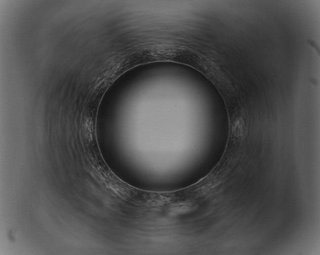 X0000101980772200807181124