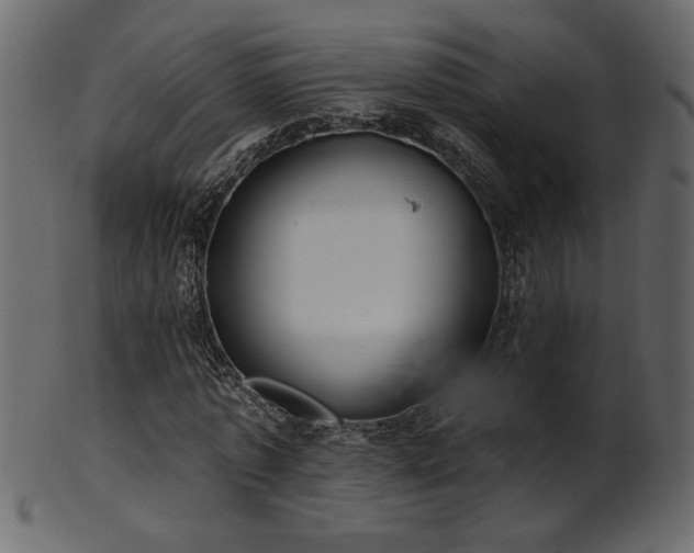 X0000101980773200807181124