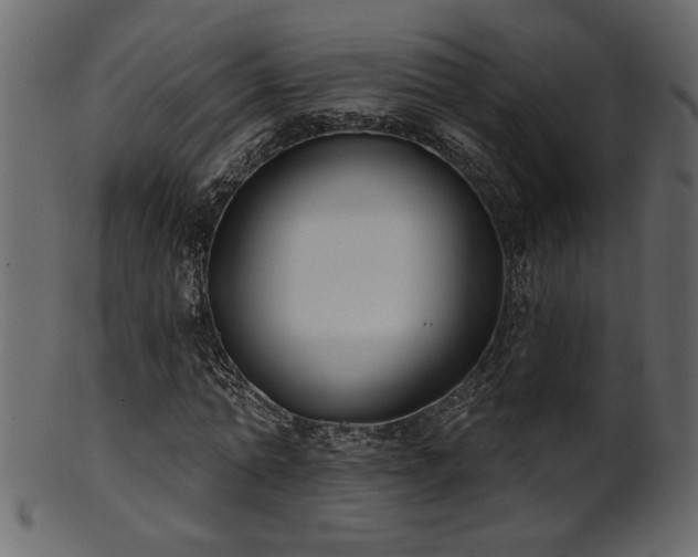 X0000101980774200807181124