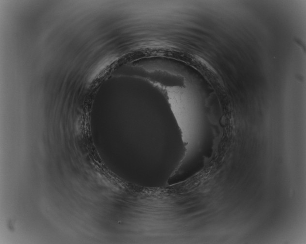 X0000101980775200807181124