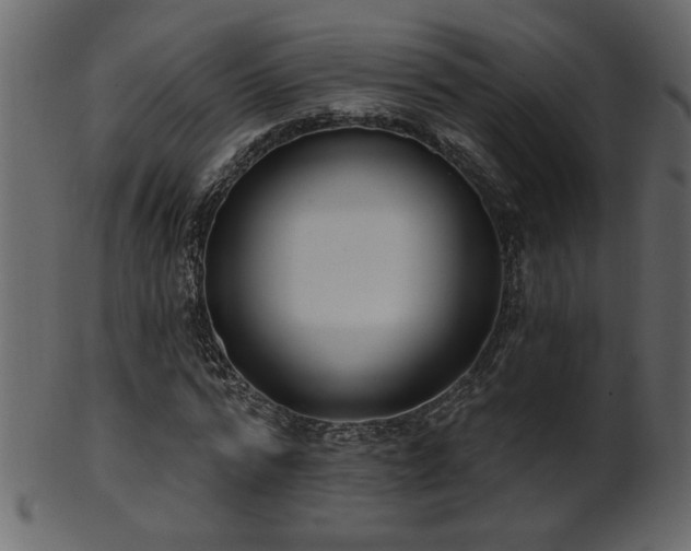 X0000101980776200807181124