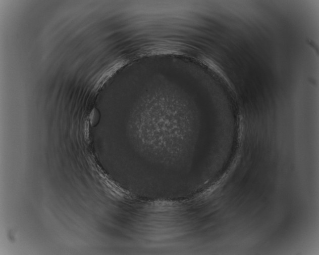 X0000101980777200807181124