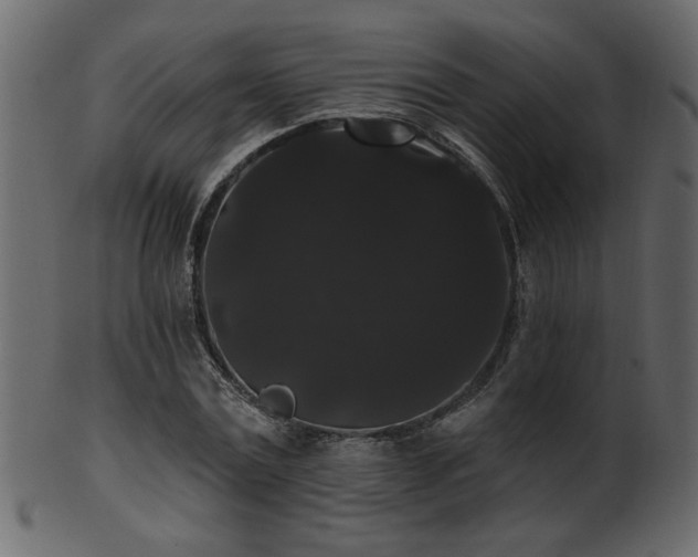 X0000101980779200807181124