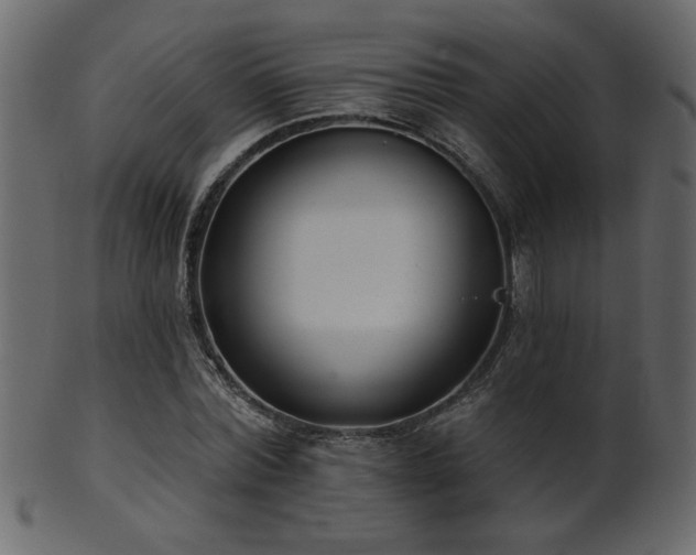 X0000101980780200807181124