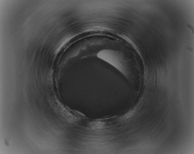 X0000101980783200807181124