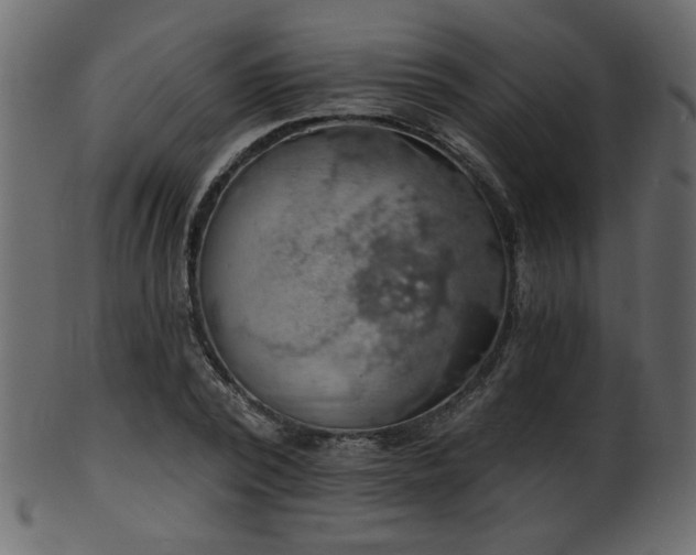 X0000101980784200807181124