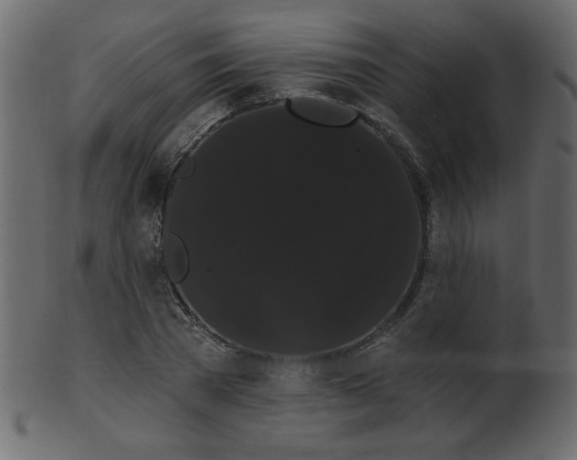 X0000101980785200807181124