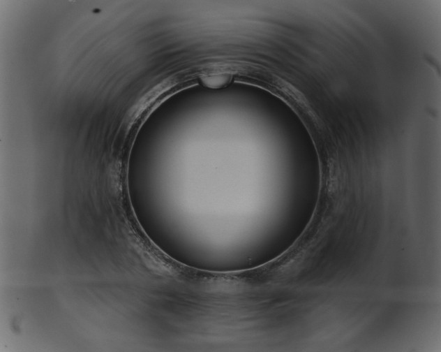 X0000101980786200807181124