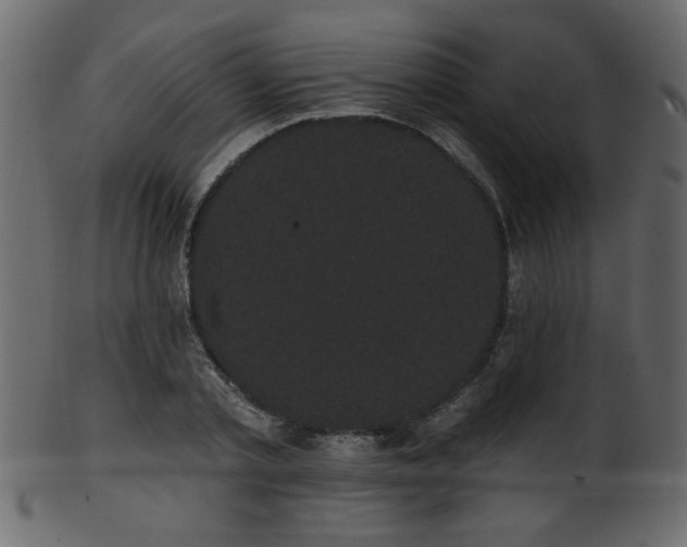 X0000101980789200807181124