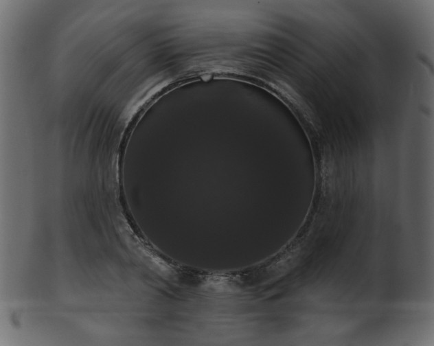 X0000101980790200807181124