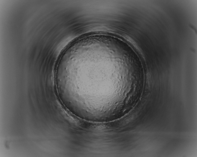 X0000101980791200807181124