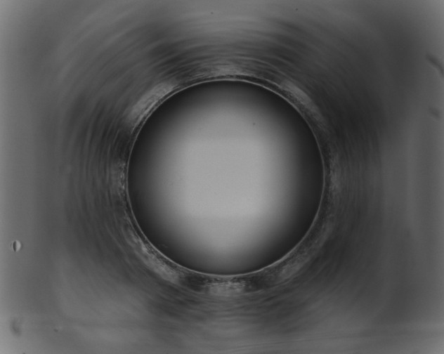 X0000101980793200807181123