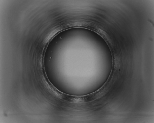 X0000101980794200807181123