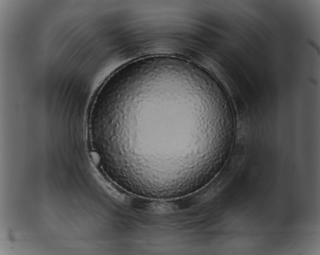 X0000101980795200807181123