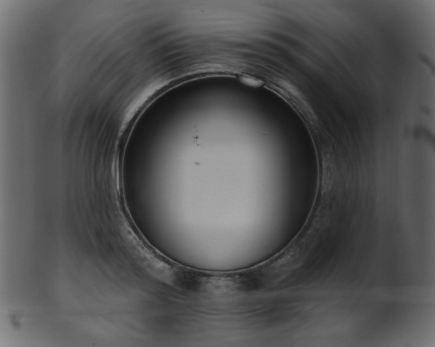 X0000101980796200807181123