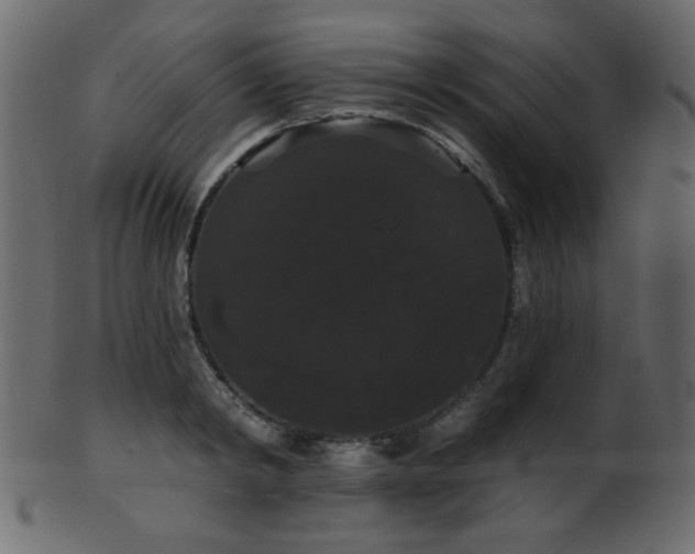 X0000101980798200807181123