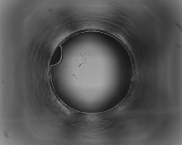 X0000101980799200807181123