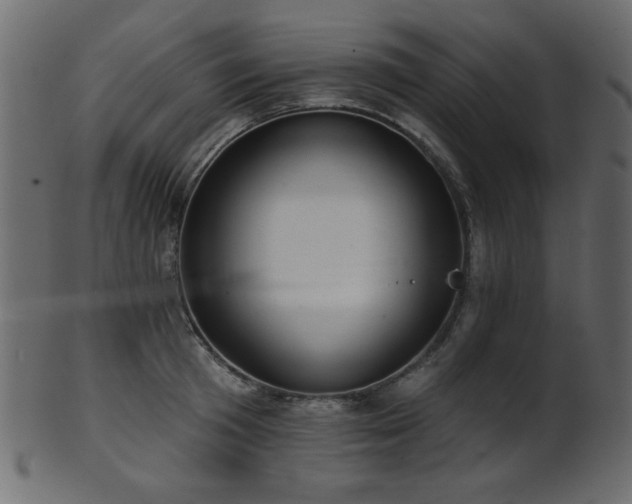 X0000101980801200807181123