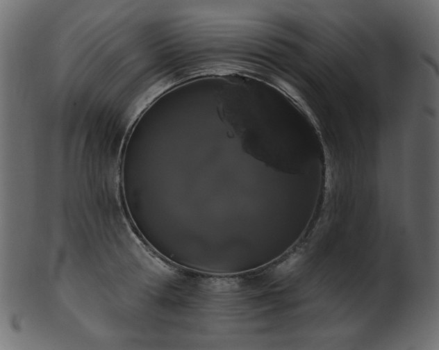 X0000101980802200807181123