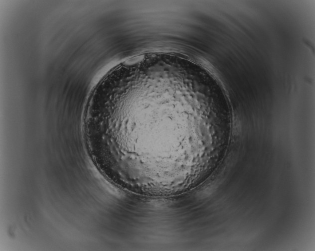 X0000101980803200807181123