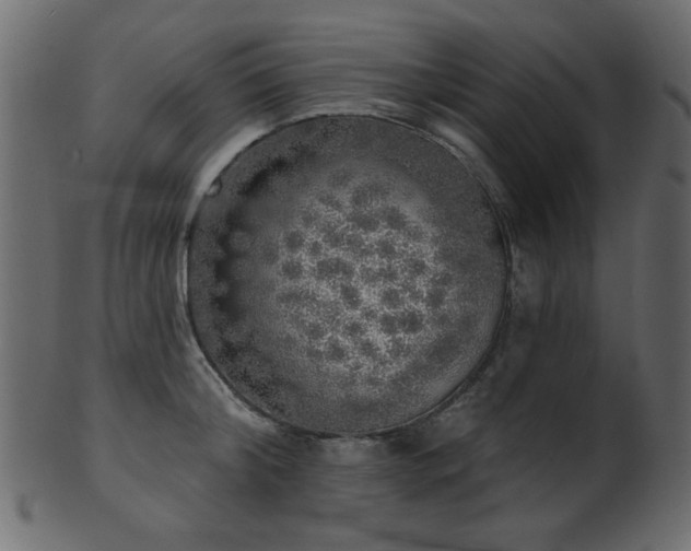 X0000101980804200807181123