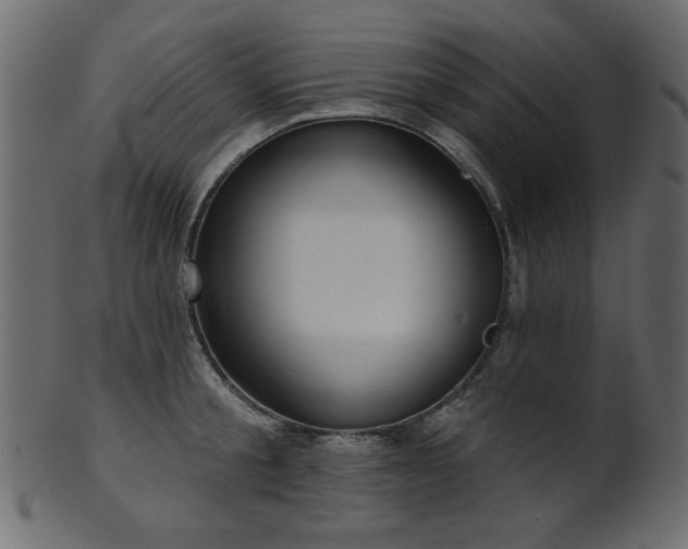 X0000101980805200807181123