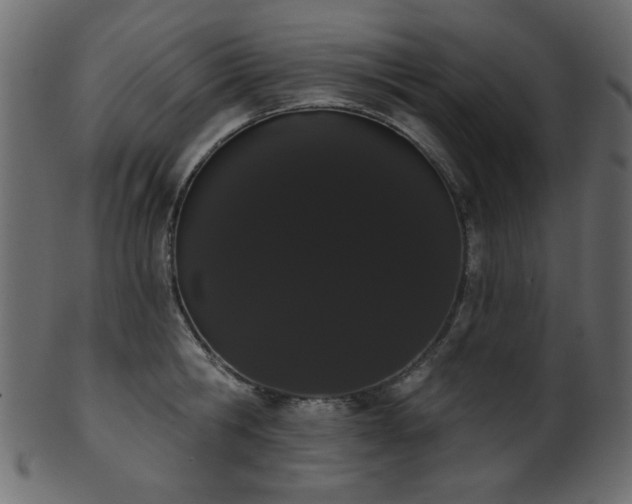 X0000101980806200807181123