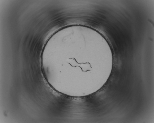 X0000101980807200807181123