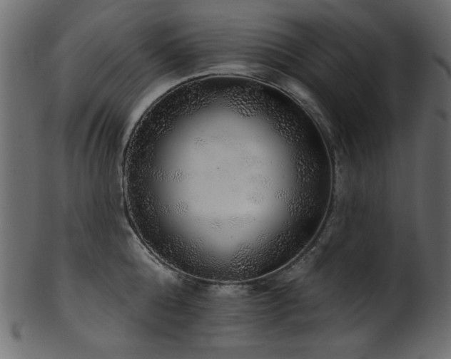 X0000101980808200807181123