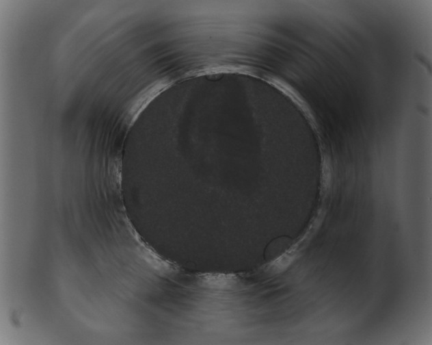 X0000101980809200807181123