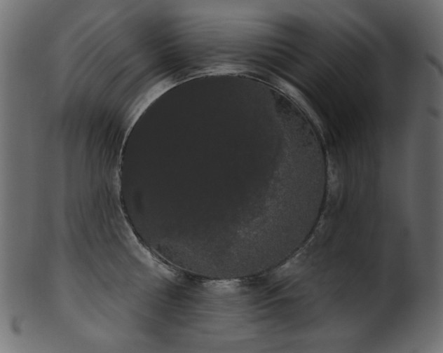 X0000101980810200807181123