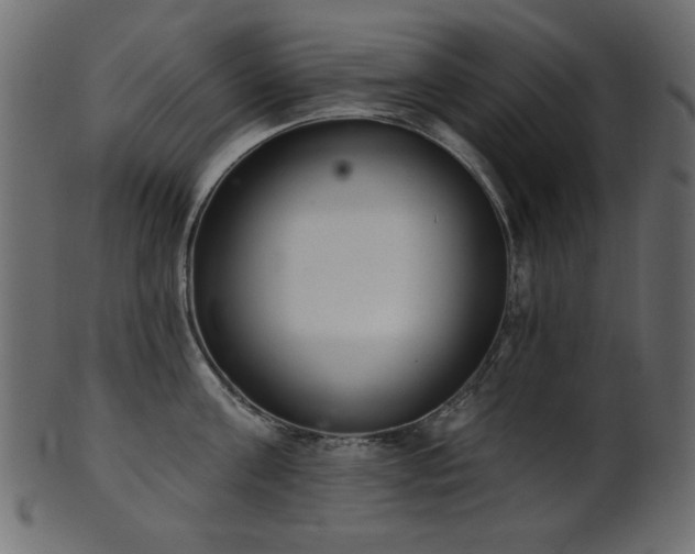 X0000101980811200807181123