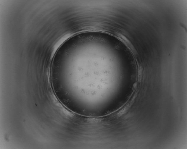 X0000101980812200807181123