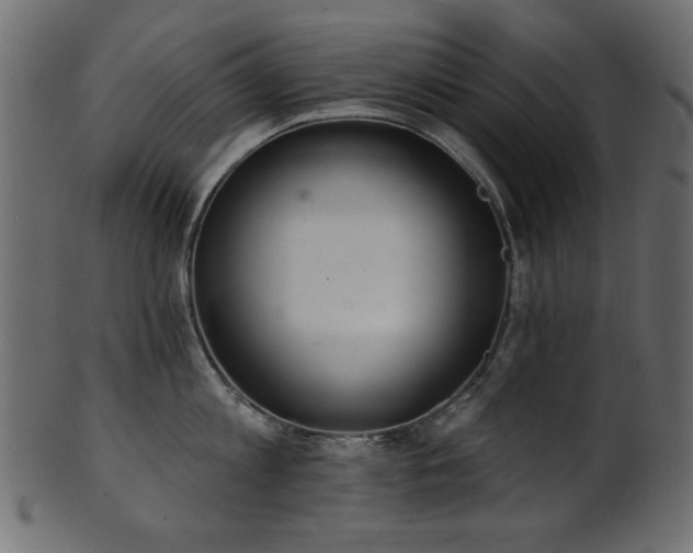 X0000101980813200807181123