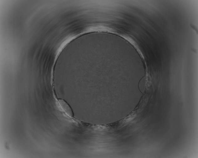 X0000101980815200807181123