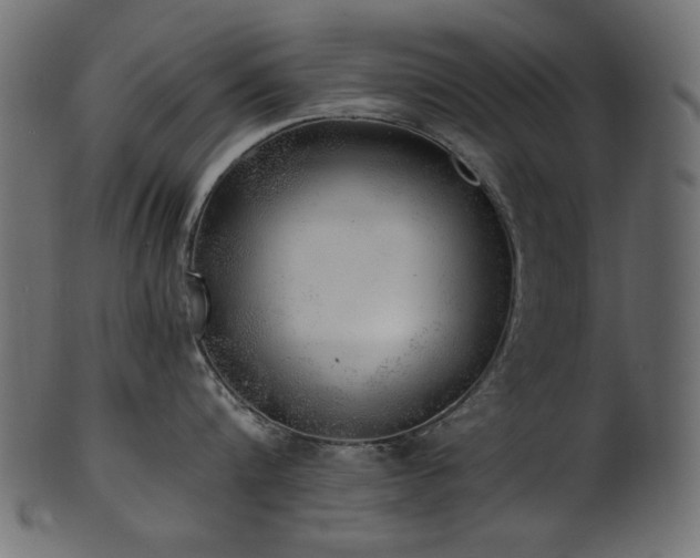 X0000101980816200807181123