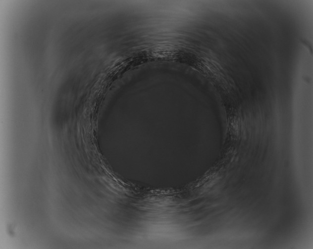 X0000101980817200807181122