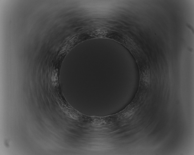 X0000101980818200807181122