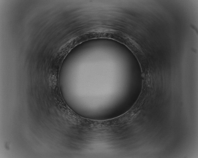 X0000101980821200807181122