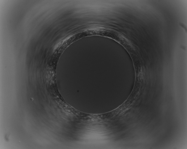 X0000101980822200807181122