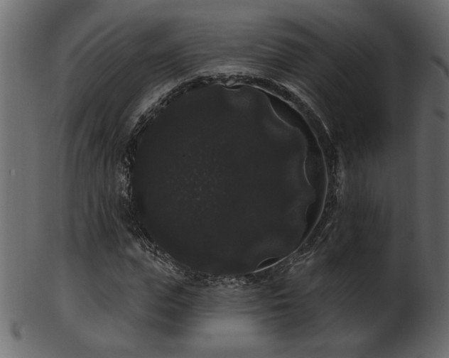 X0000101980823200807181123