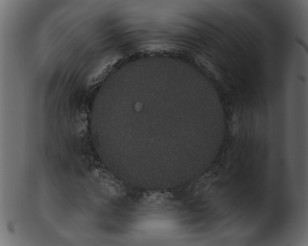 X0000101980824200807181123