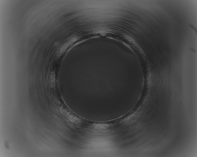 X0000101980825200807181123