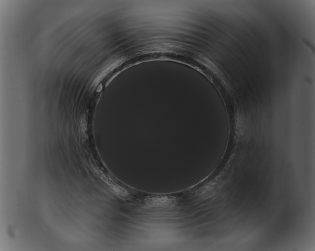 X0000101980826200807181123