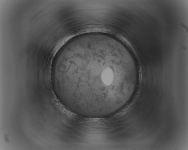 X0000101980828200807181123