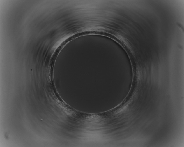 X0000101980830200807181123