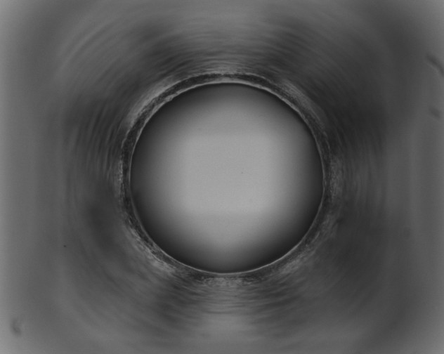 X0000101980831200807181123