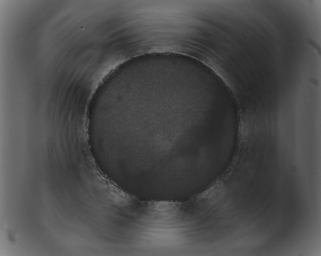 X0000101980832200807181123