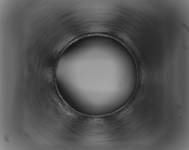 X0000101980833200807181123